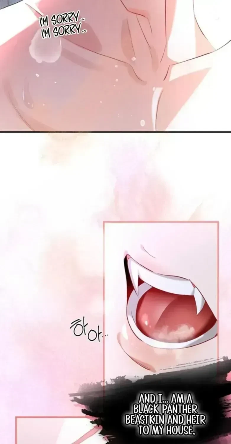 Chapter 1.4, page 8