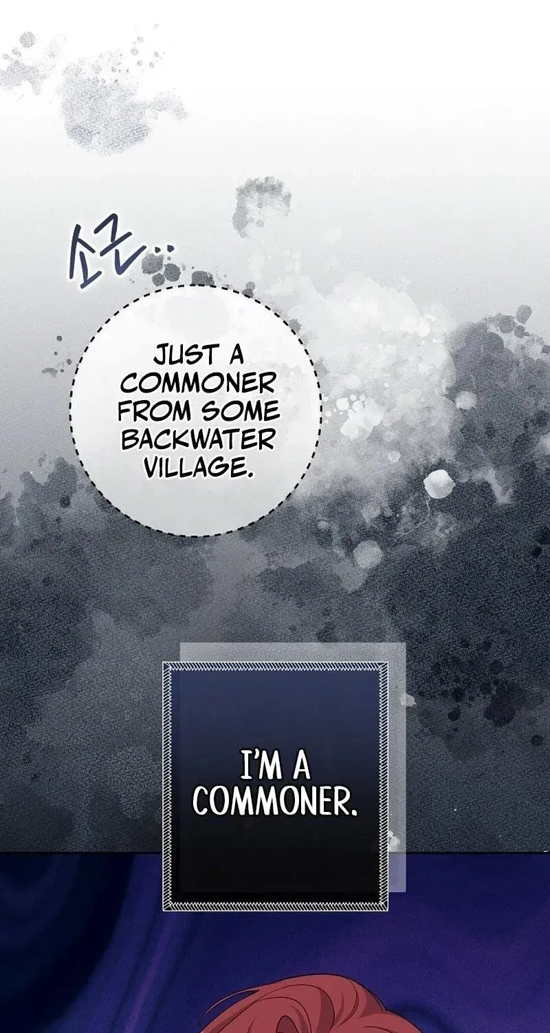 Chapter 1.1, page 49