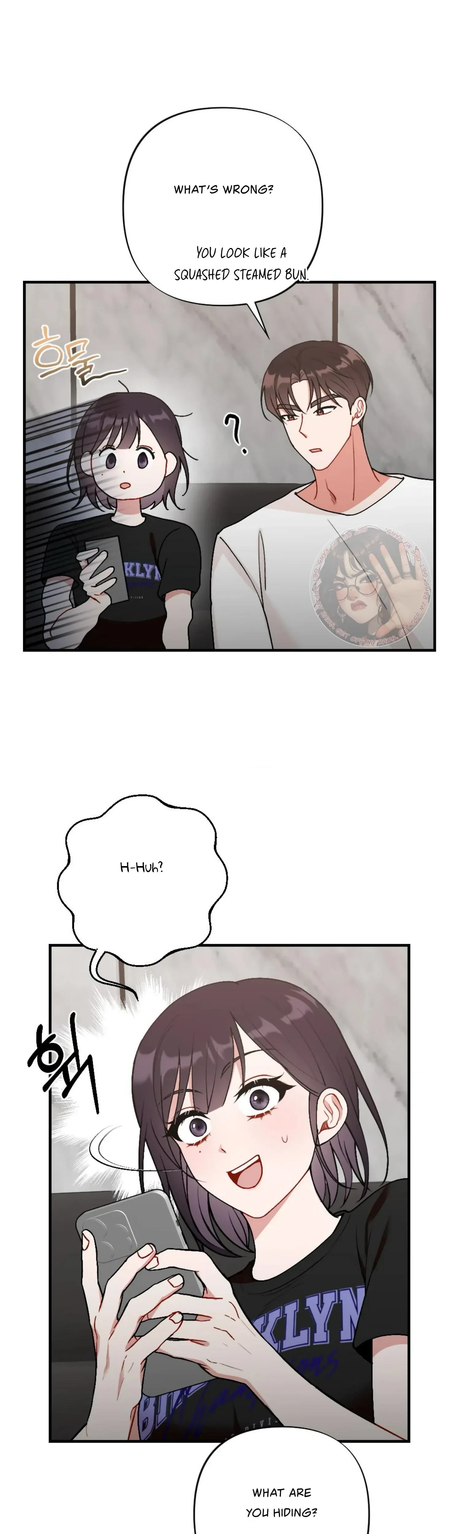 Chapter 1, page 15