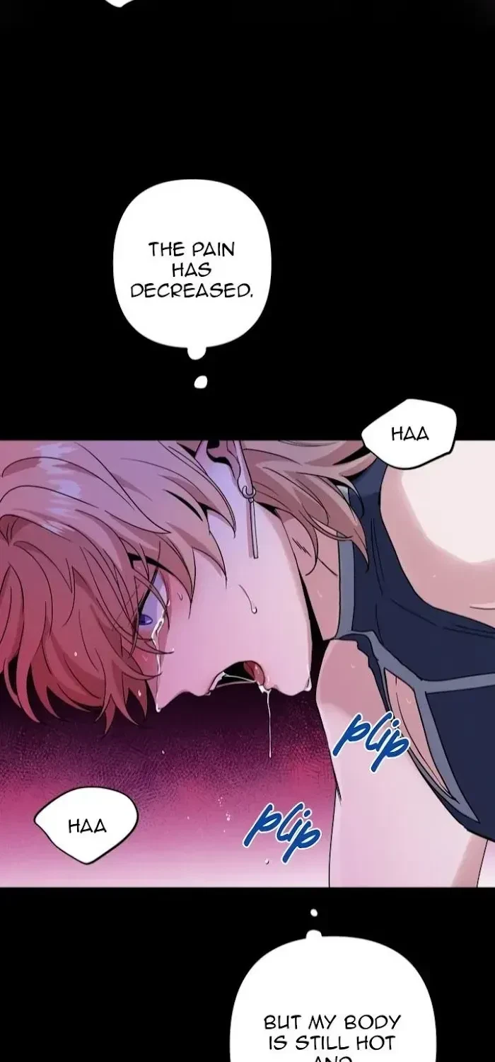 Chapter 1.5, page 82