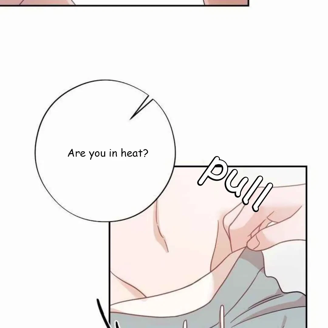 Chapter 3, page 147