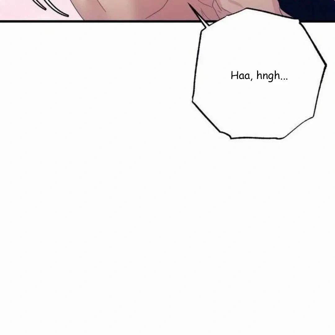 Chapter 3, page 15