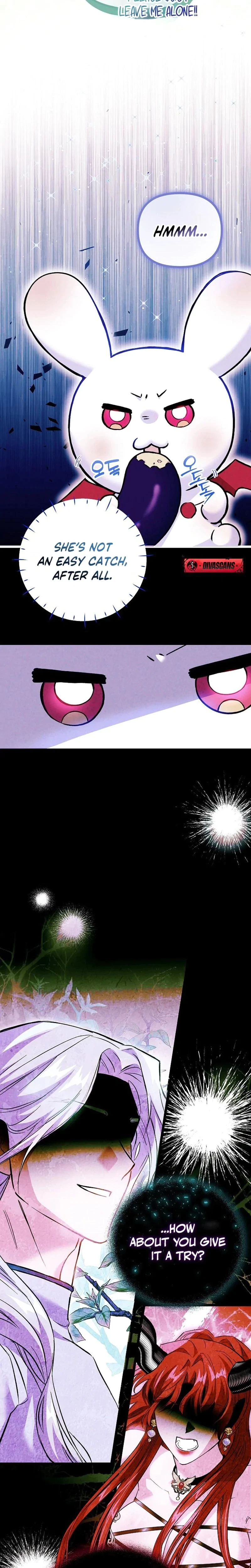 Chapter 2, page 25