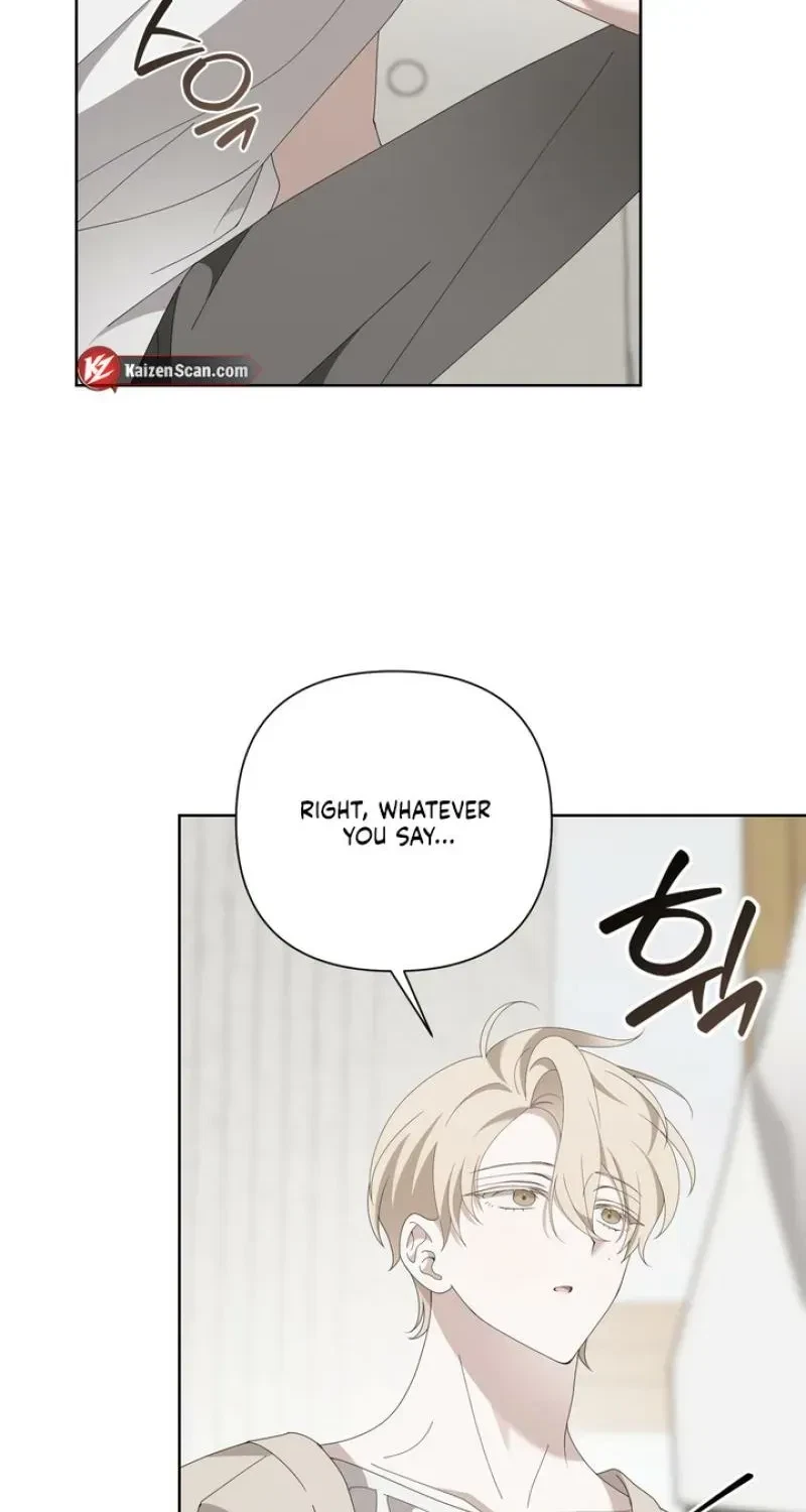 Chapter 4, page 16