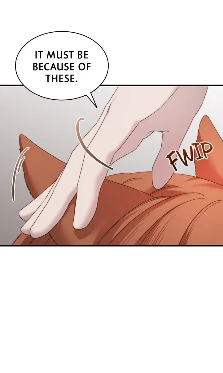 Chapter 5, page 44