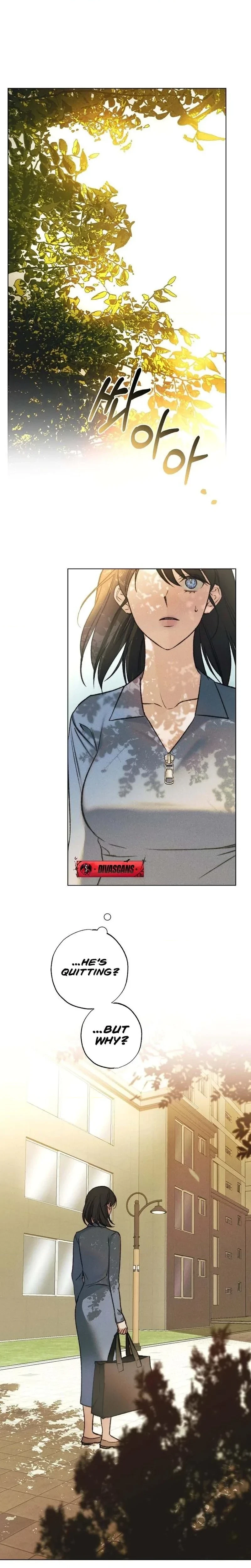 Chapter 1, page 20