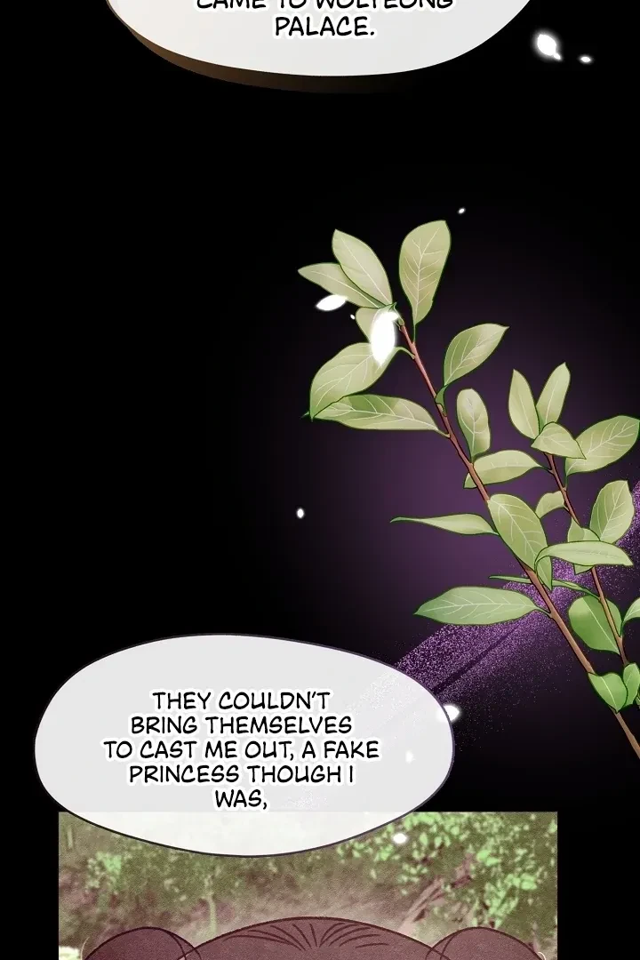 Chapter 5, page 51