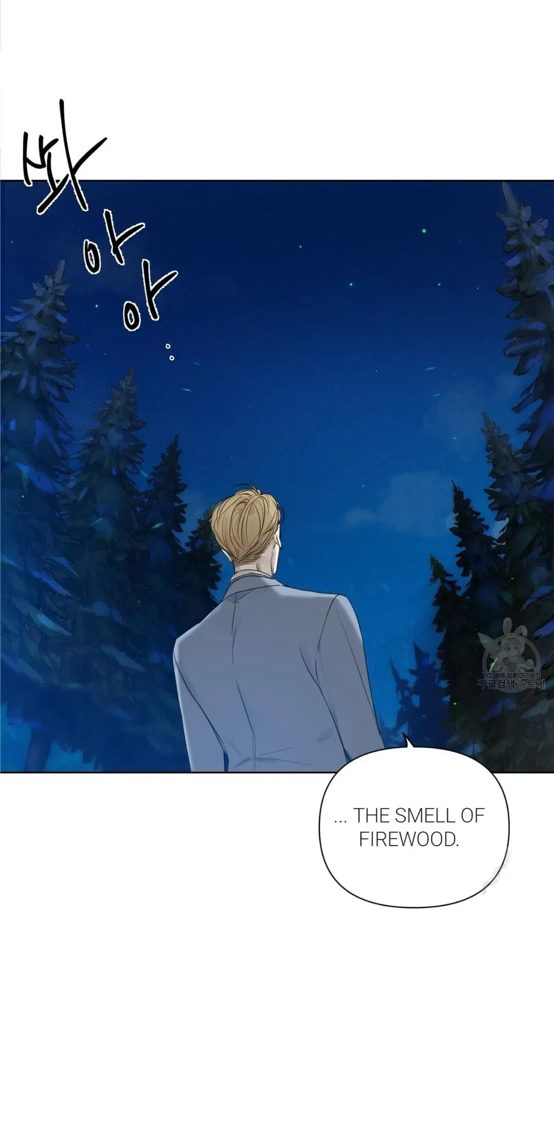 Chapter 2, page 32
