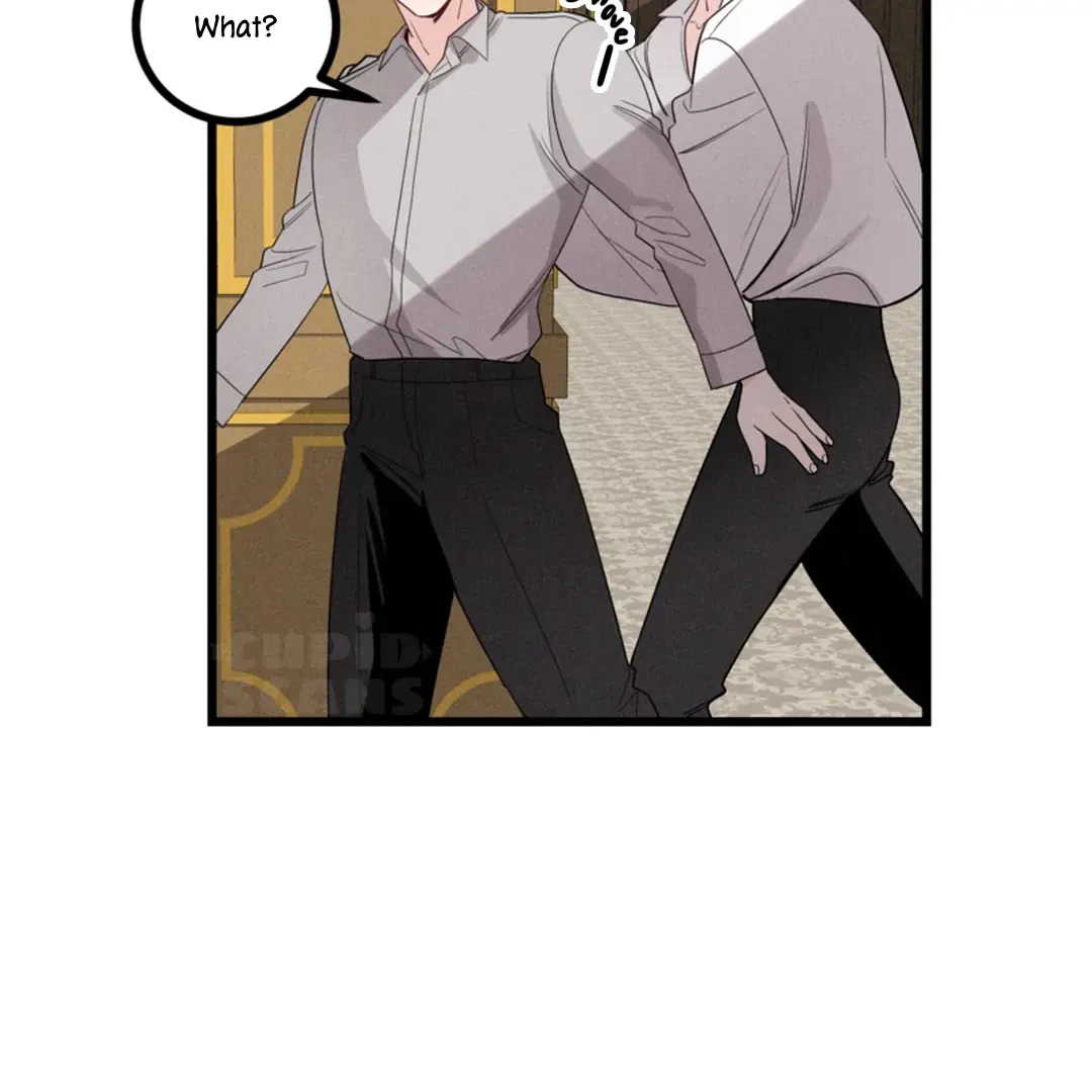 Chapter 4, page 13