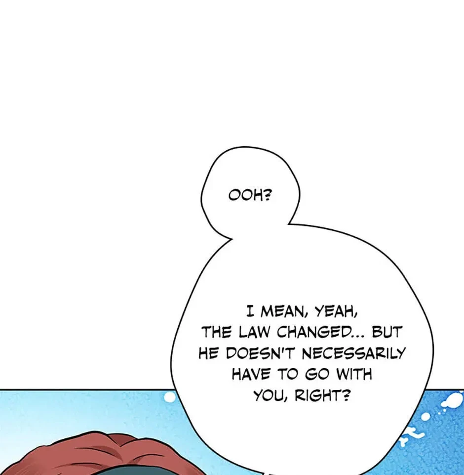 Chapter 8.1, page 117