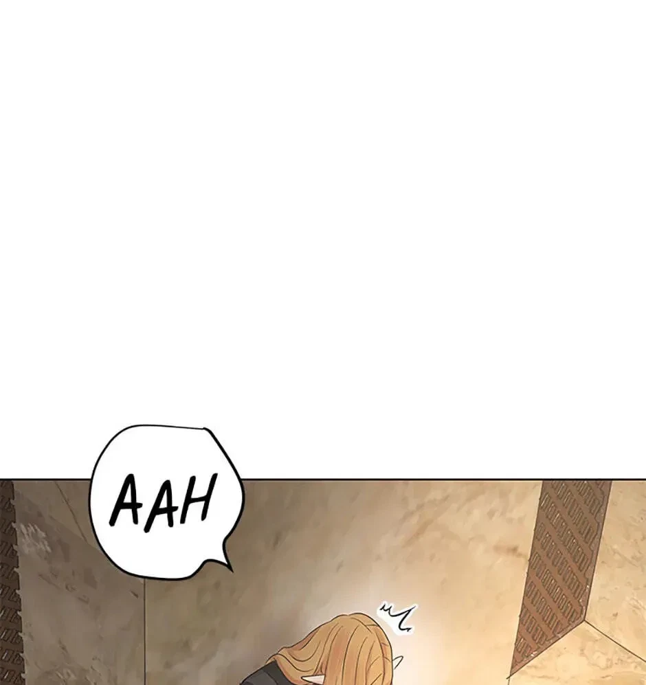 Chapter 8.1, page 91