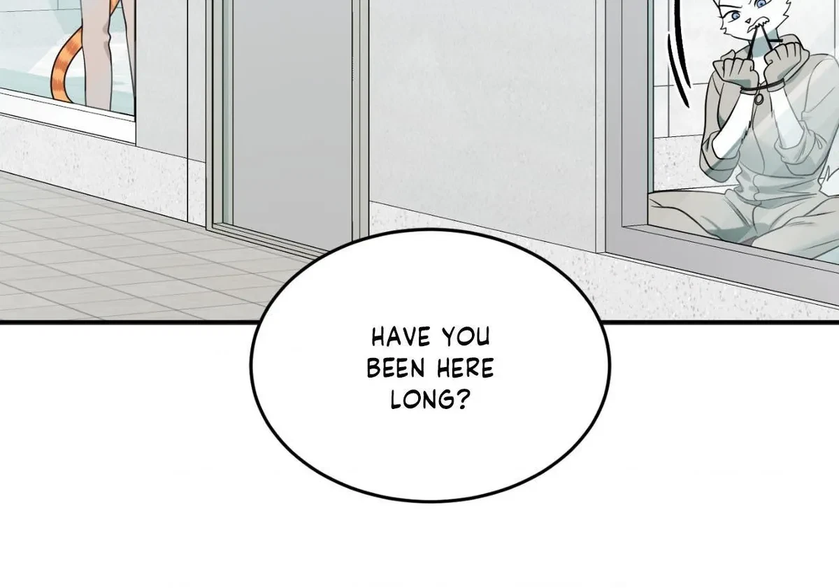 Chapter 65, page 10