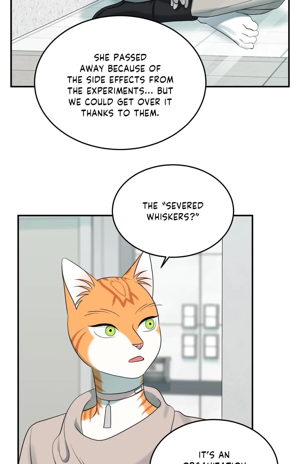 Chapter 65, page 19
