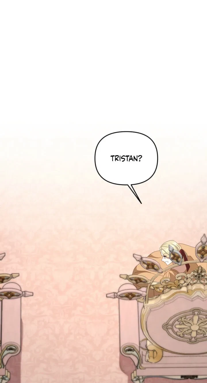 Five Husbands Appeared On My Birthday Chapter 31, page 43
