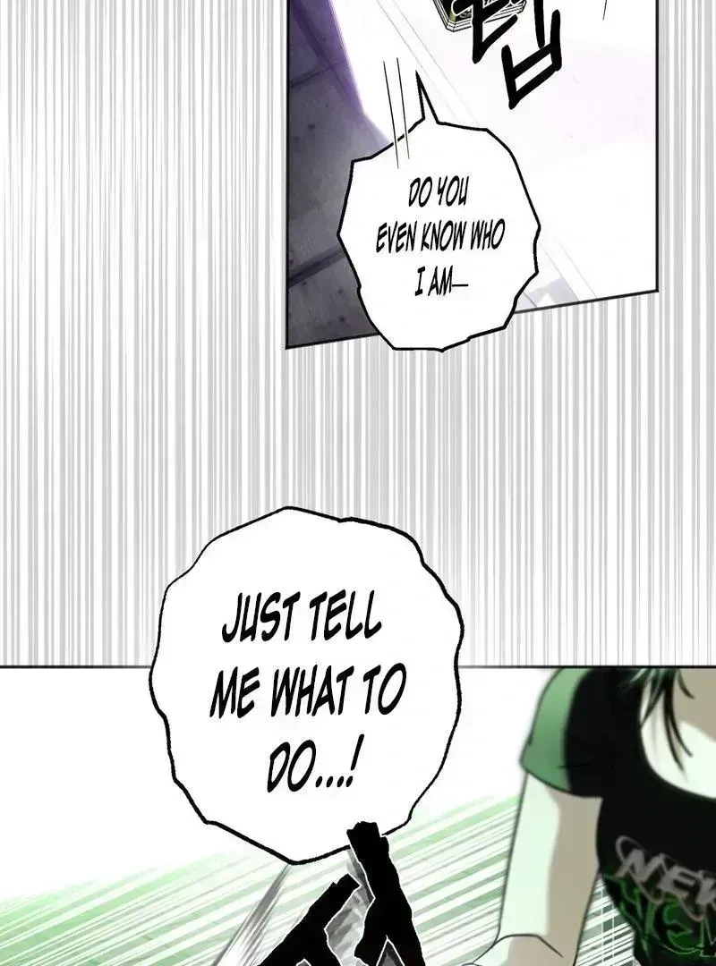 Chapter 2.6, page 101