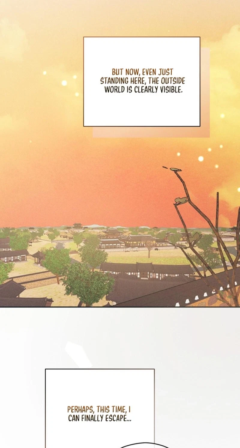 Chapter 2, page 61
