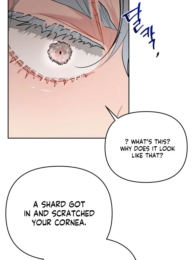 Chapter 2, page 87