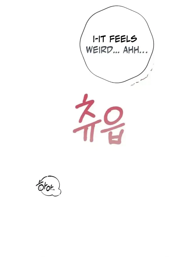 Chapter 1.1, page 55