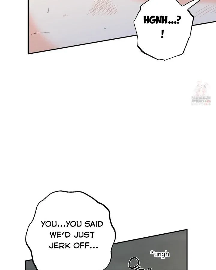 Chapter 3, page 19
