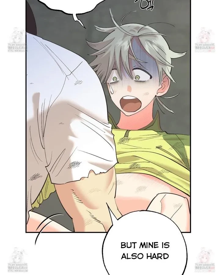 Chapter 3, page 20