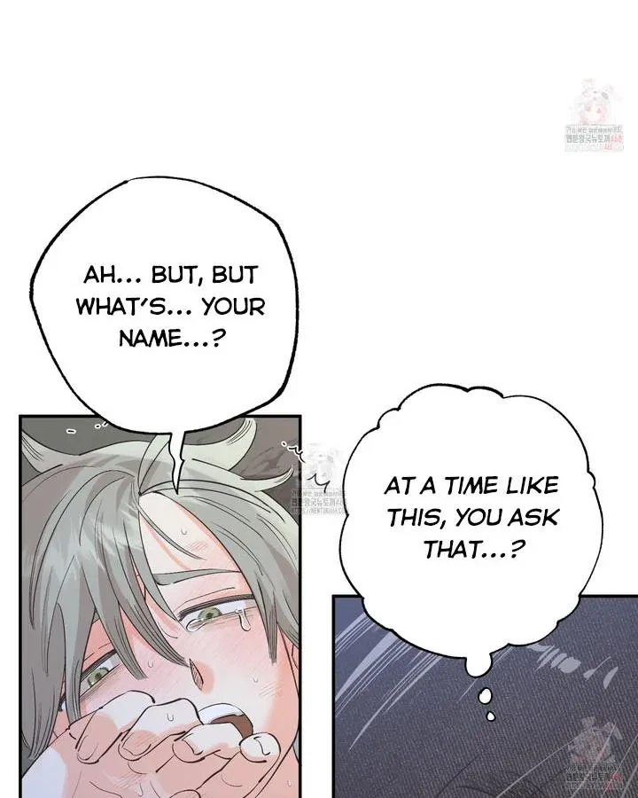 Chapter 3, page 40