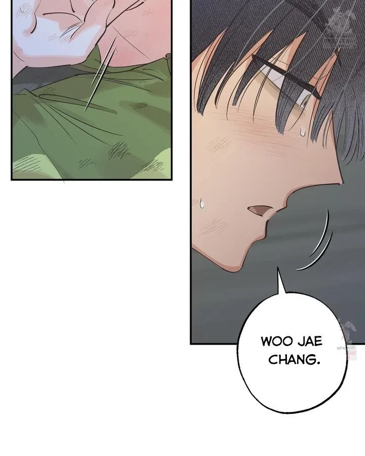 Chapter 3, page 41
