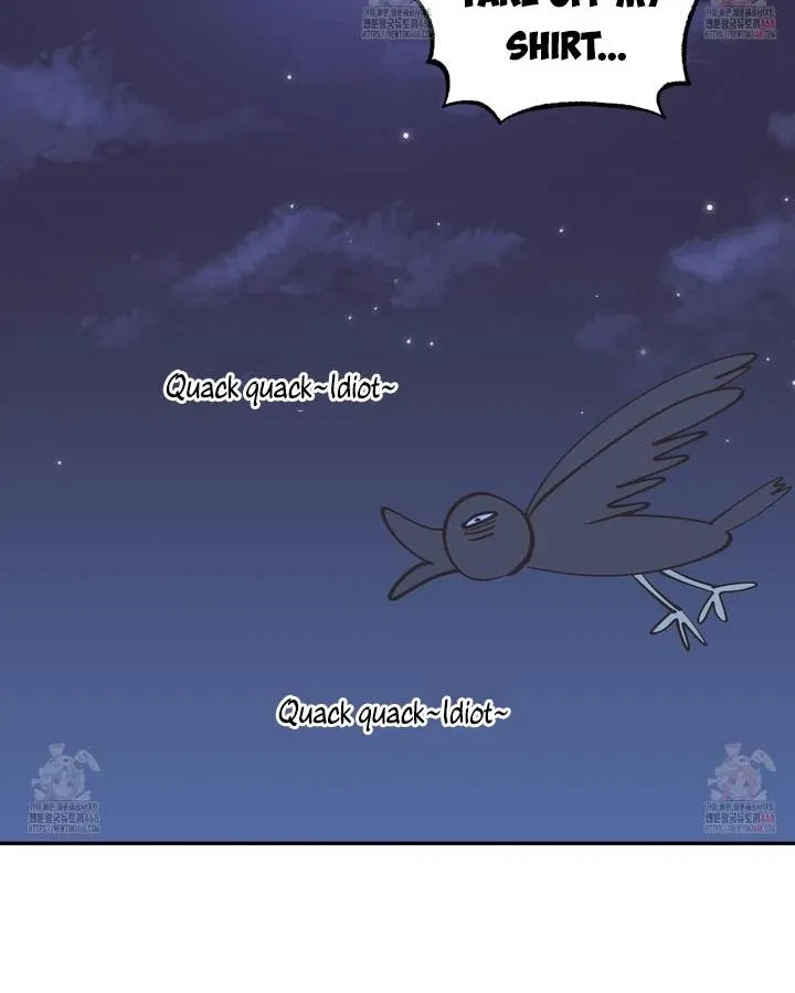 Chapter 3, page 97