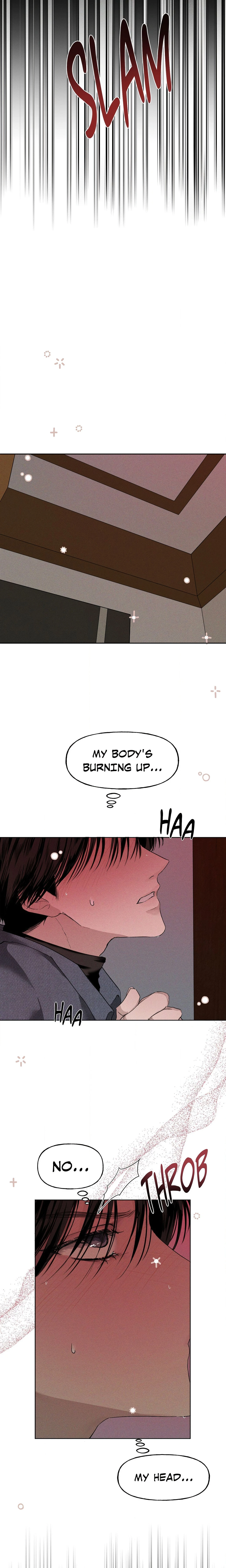 Chapter 1, page 17