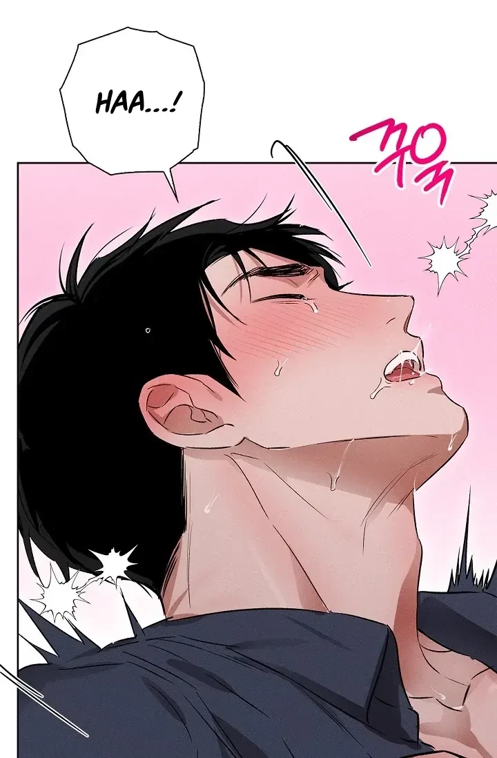 Chapter 3, page 71