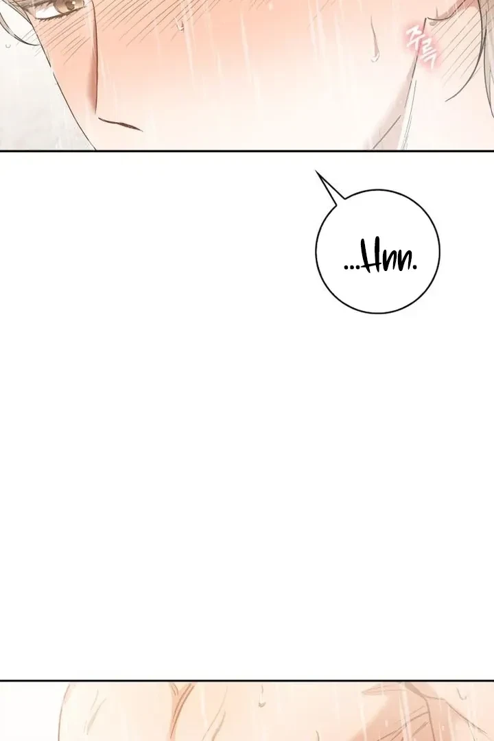 Chapter 3, page 31