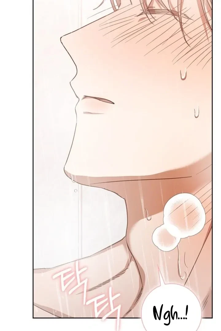 Chapter 3, page 38