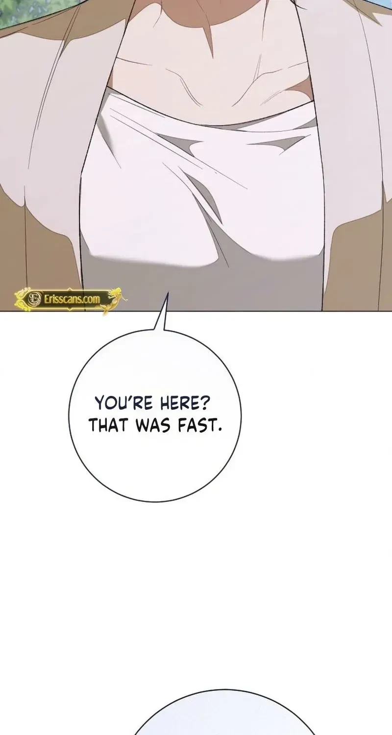 Chapter 1, page 19