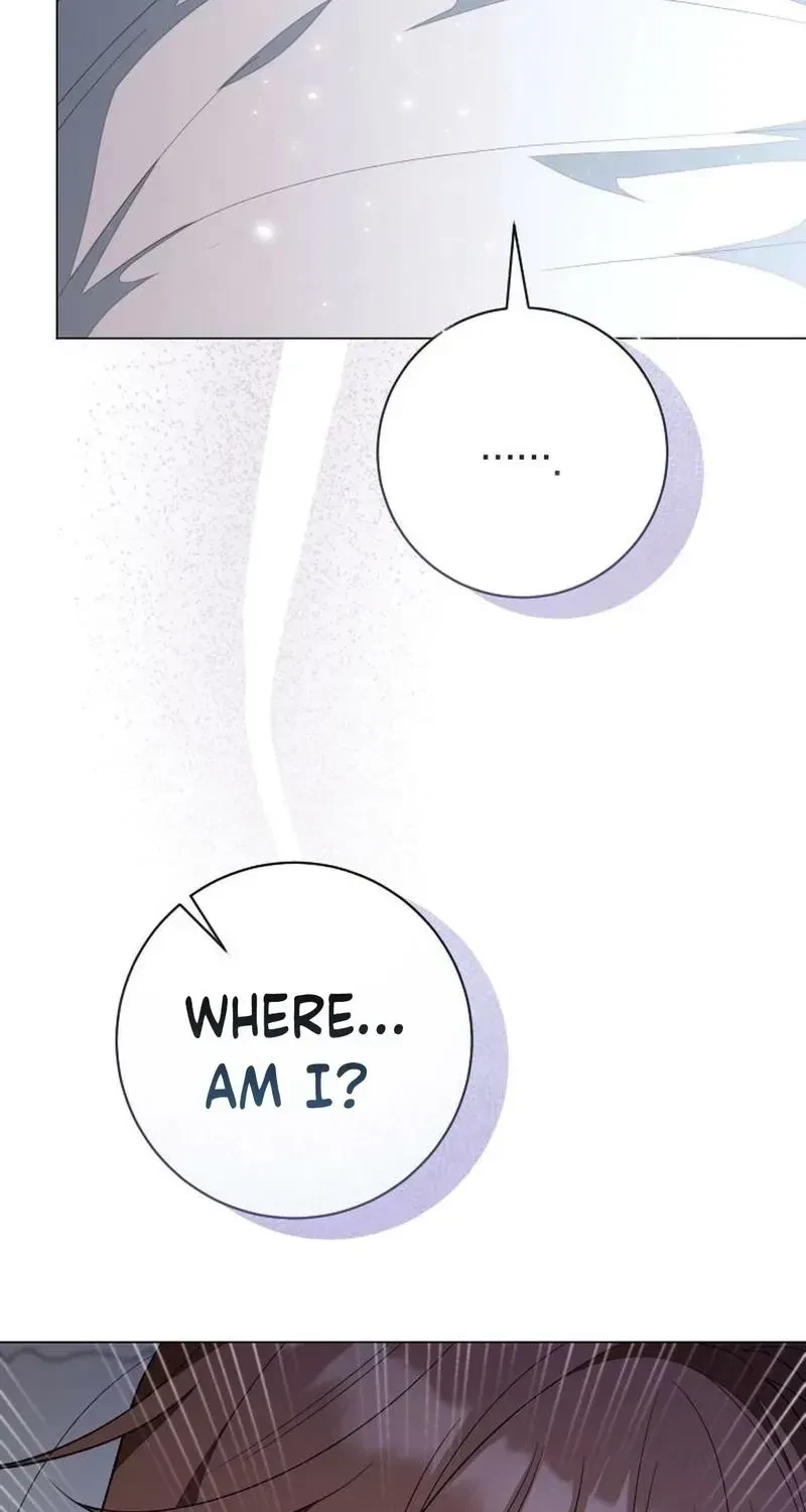 Chapter 1, page 85