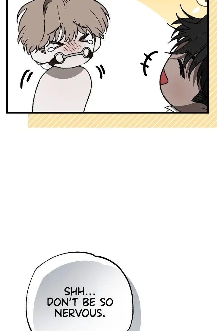 Chapter 5, page 31