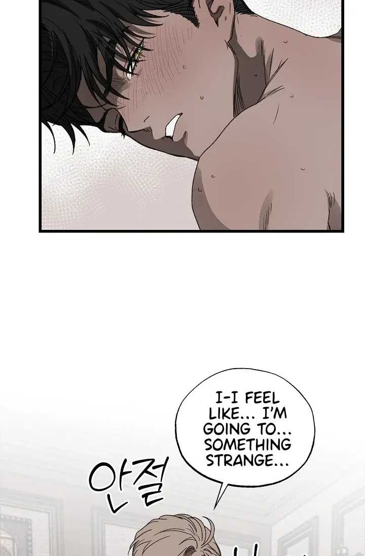 Chapter 5, page 71