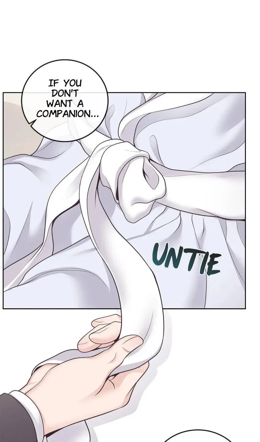Chapter 3, page 62