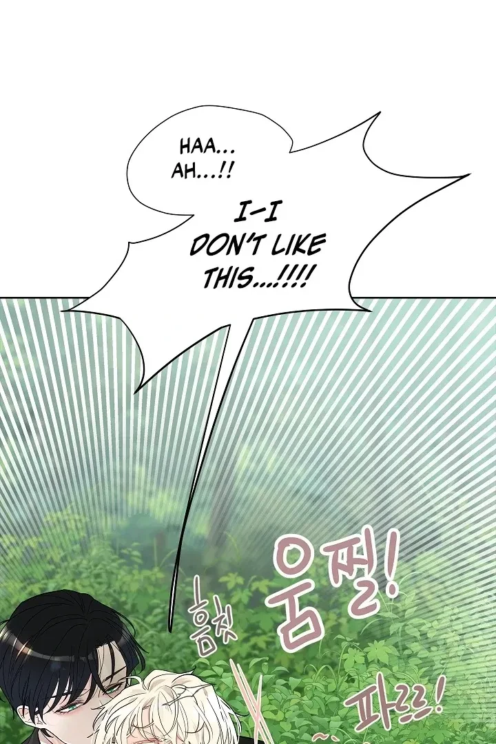 Chapter 1, page 31