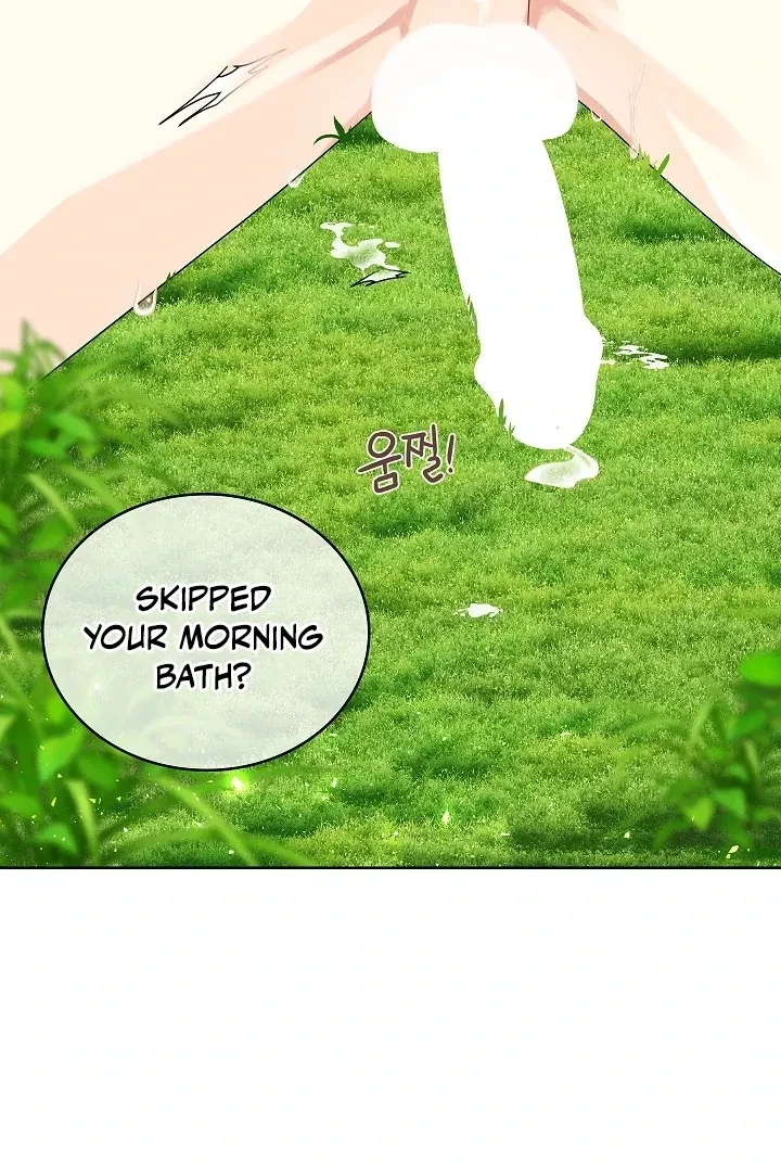 Chapter 1, page 41