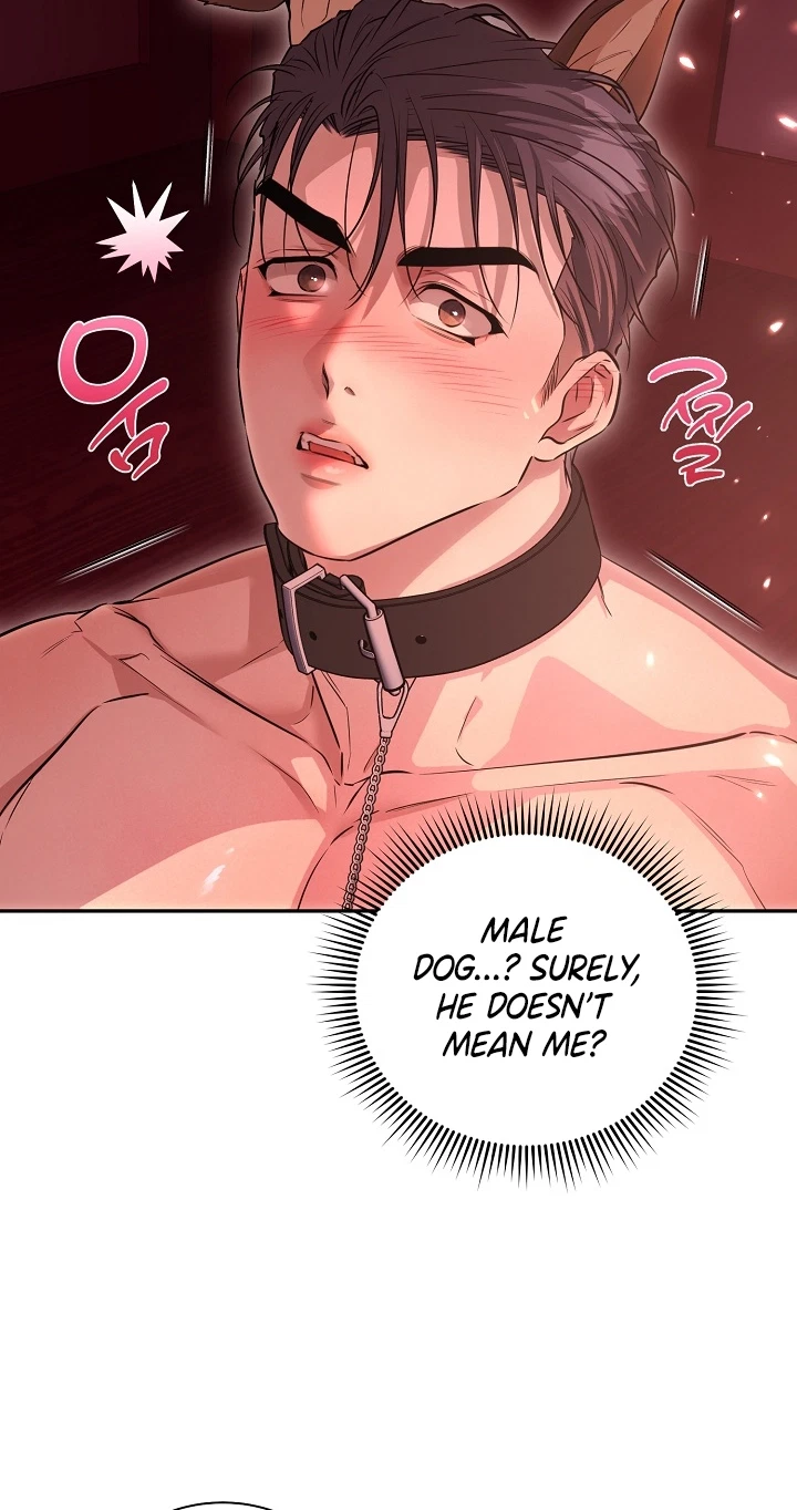 Belle's Lily Chapter 5, page 52