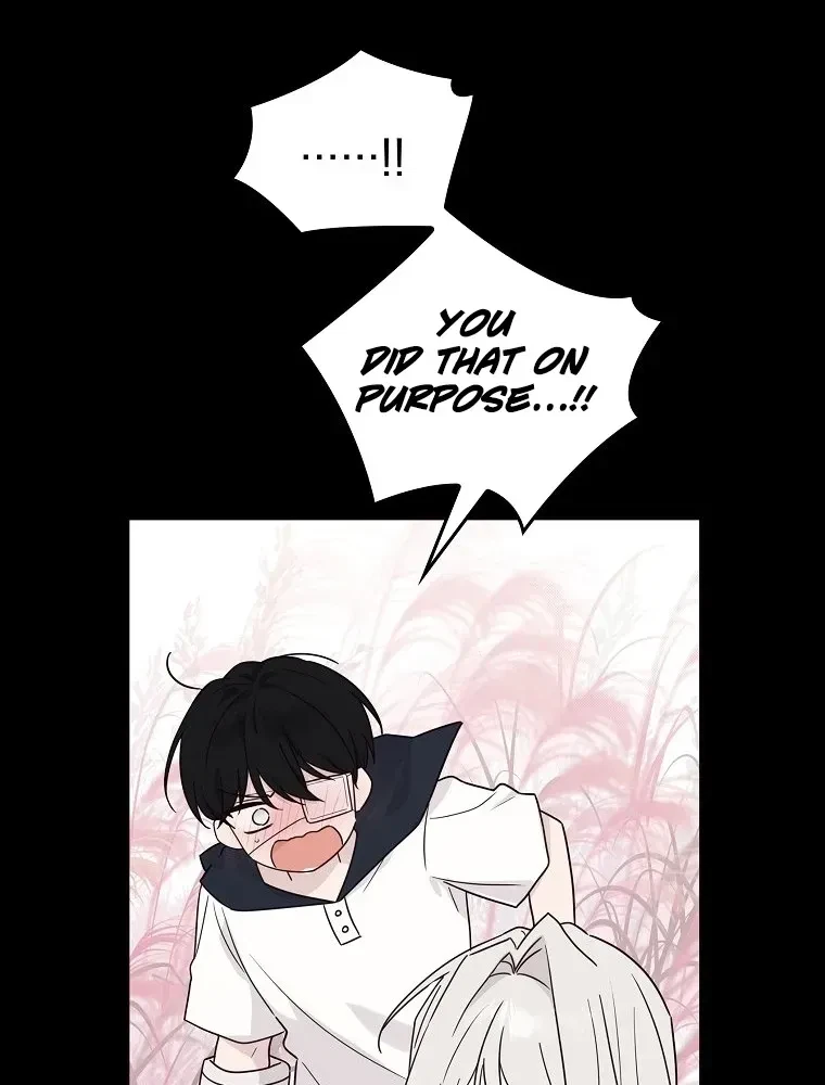 Chapter 5, page 55
