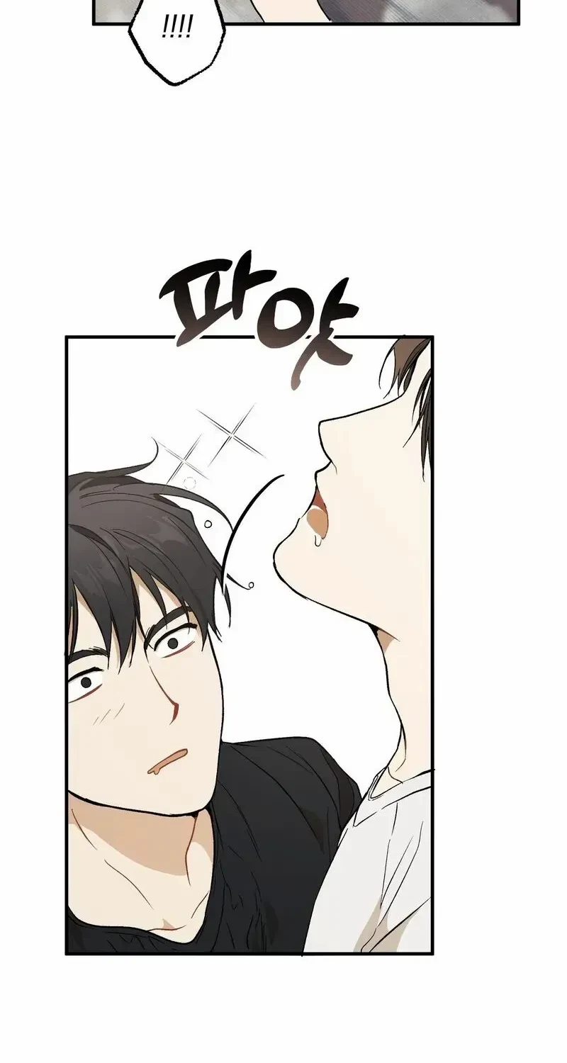 Chapter 1.1, page 41