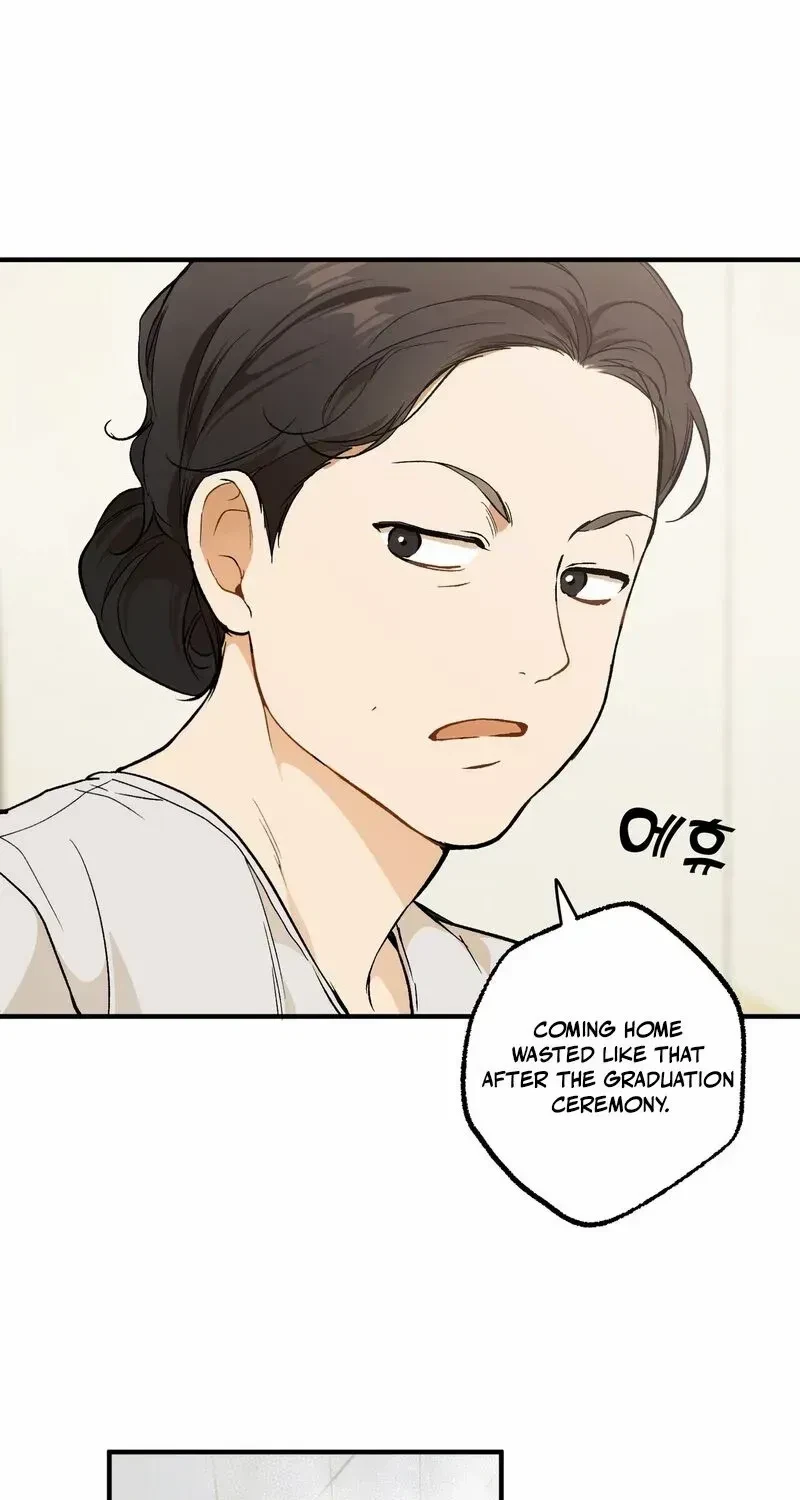 Chapter 1.1, page 52