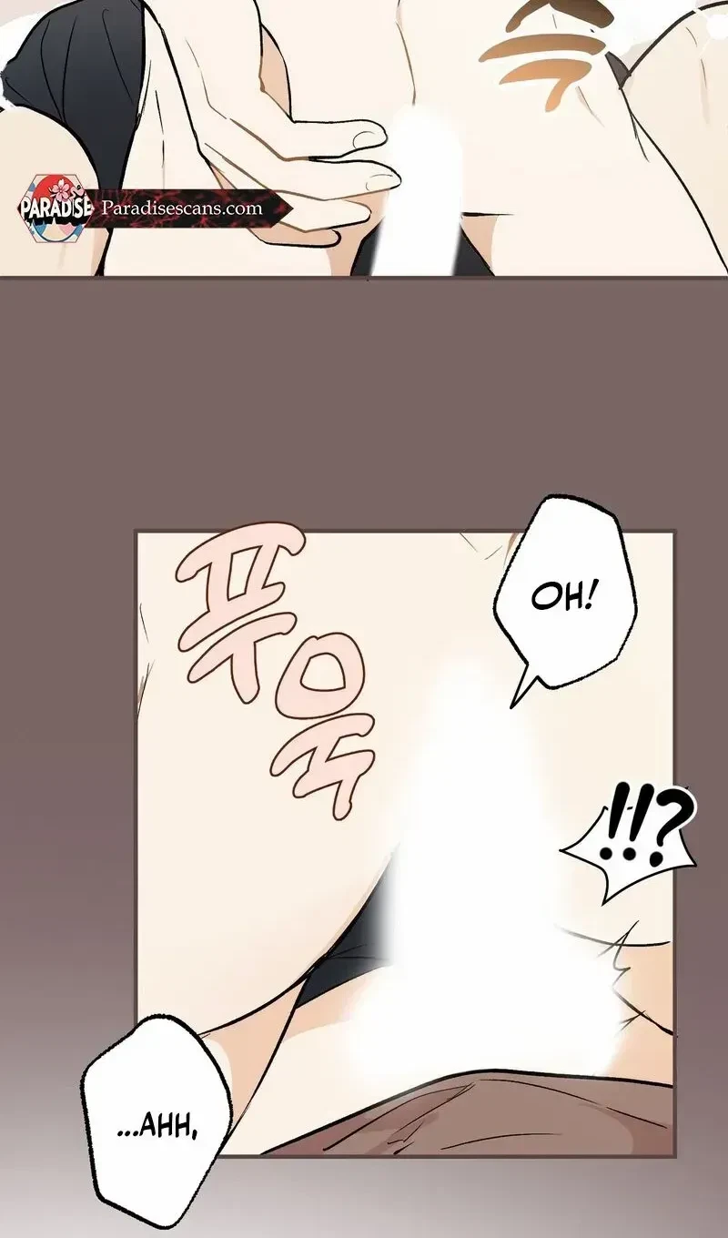 Chapter 1.1, page 61