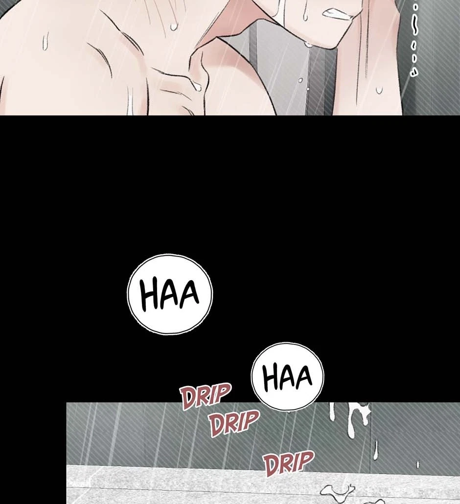 Chapter 2, page 21