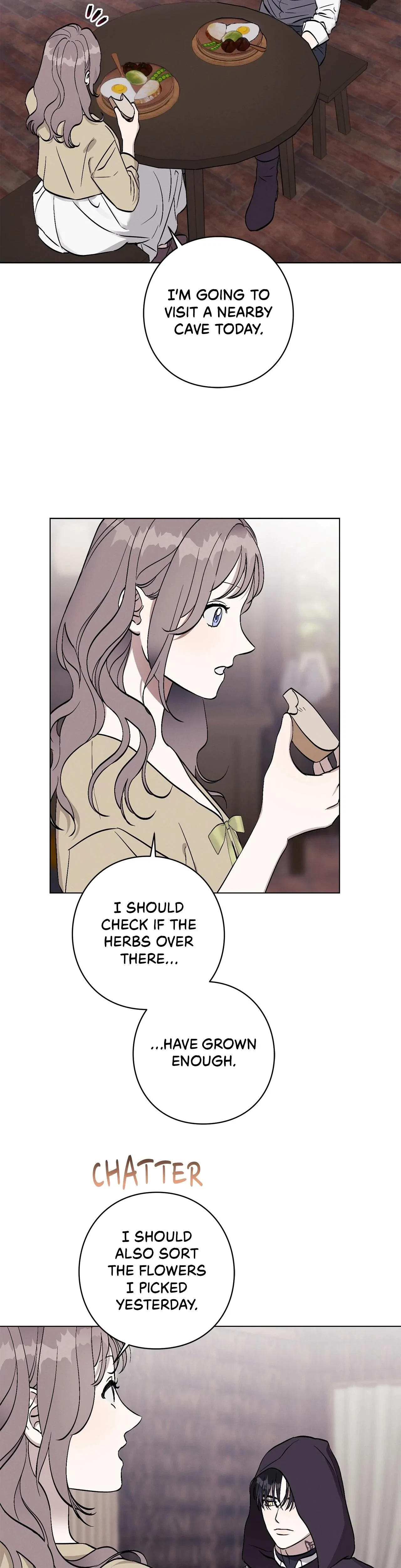 Chapter 3, page 12