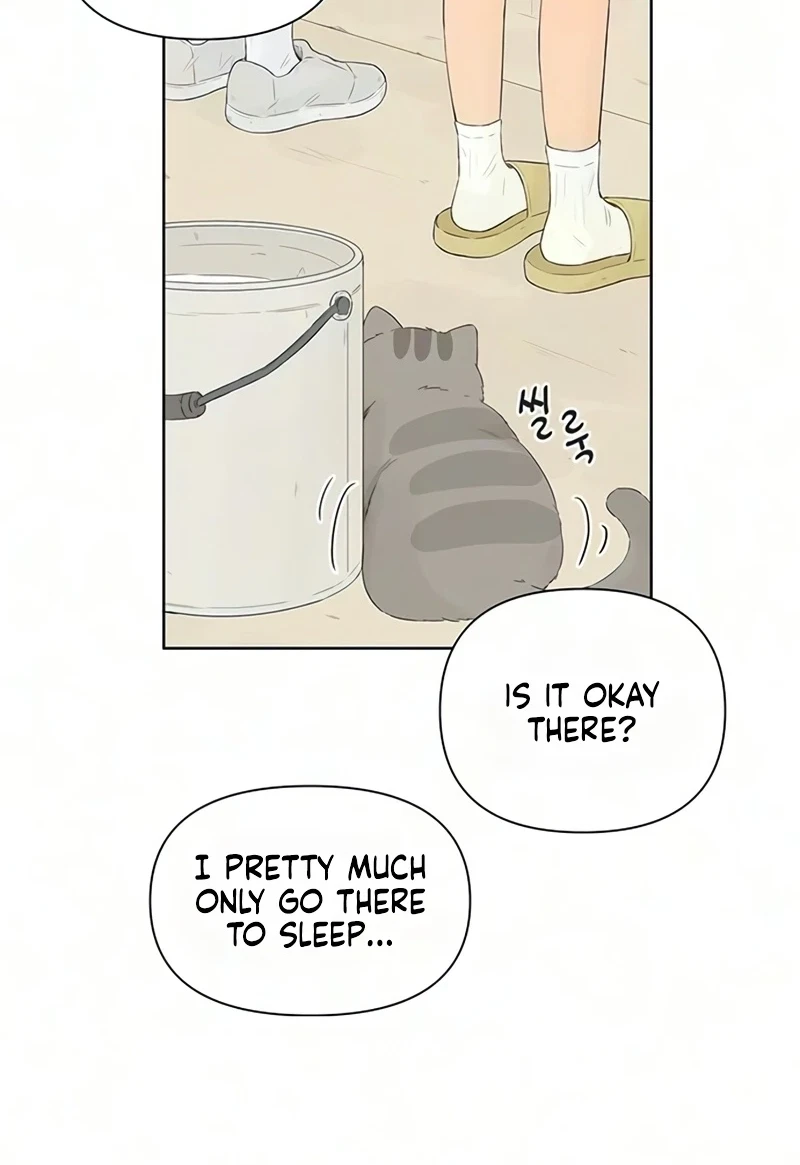 Chapter 8, page 11