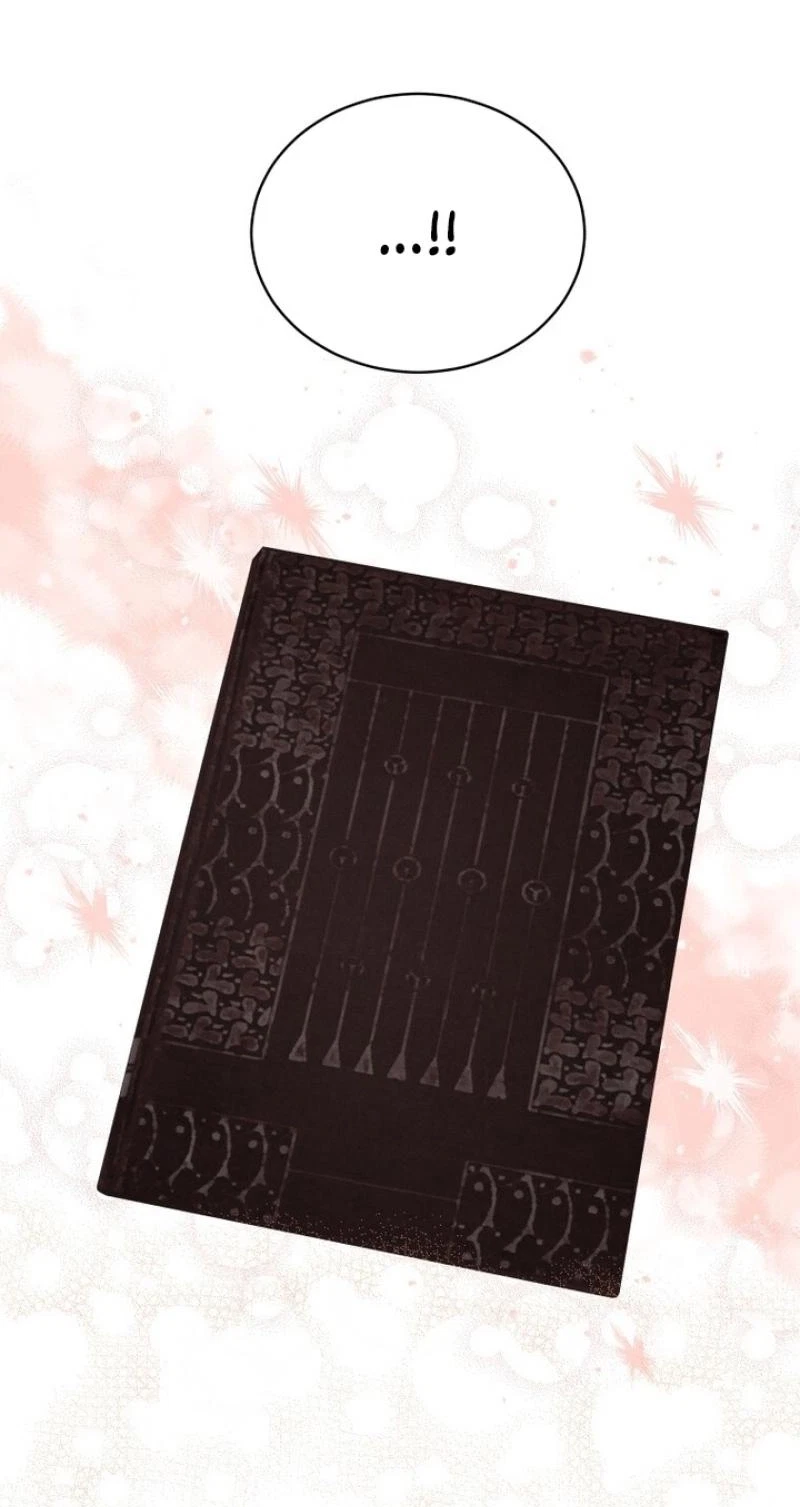 Chapter 19, page 62