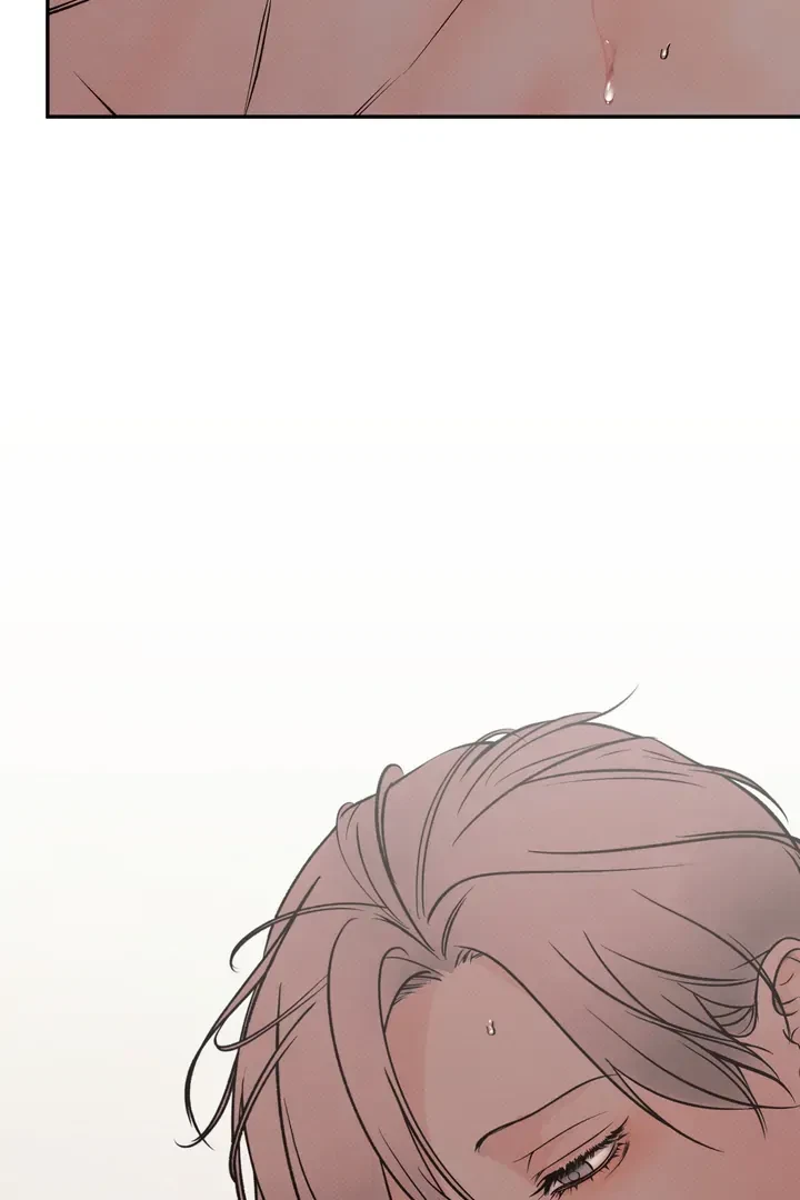 Chapter 3, page 101
