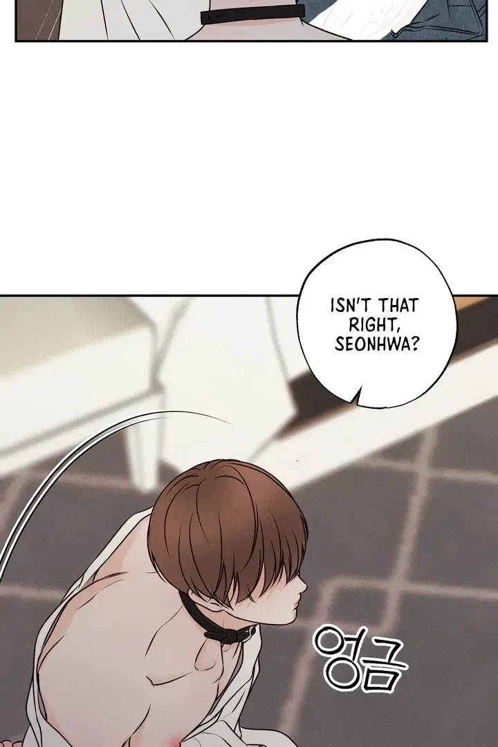 Chapter 3, page 21