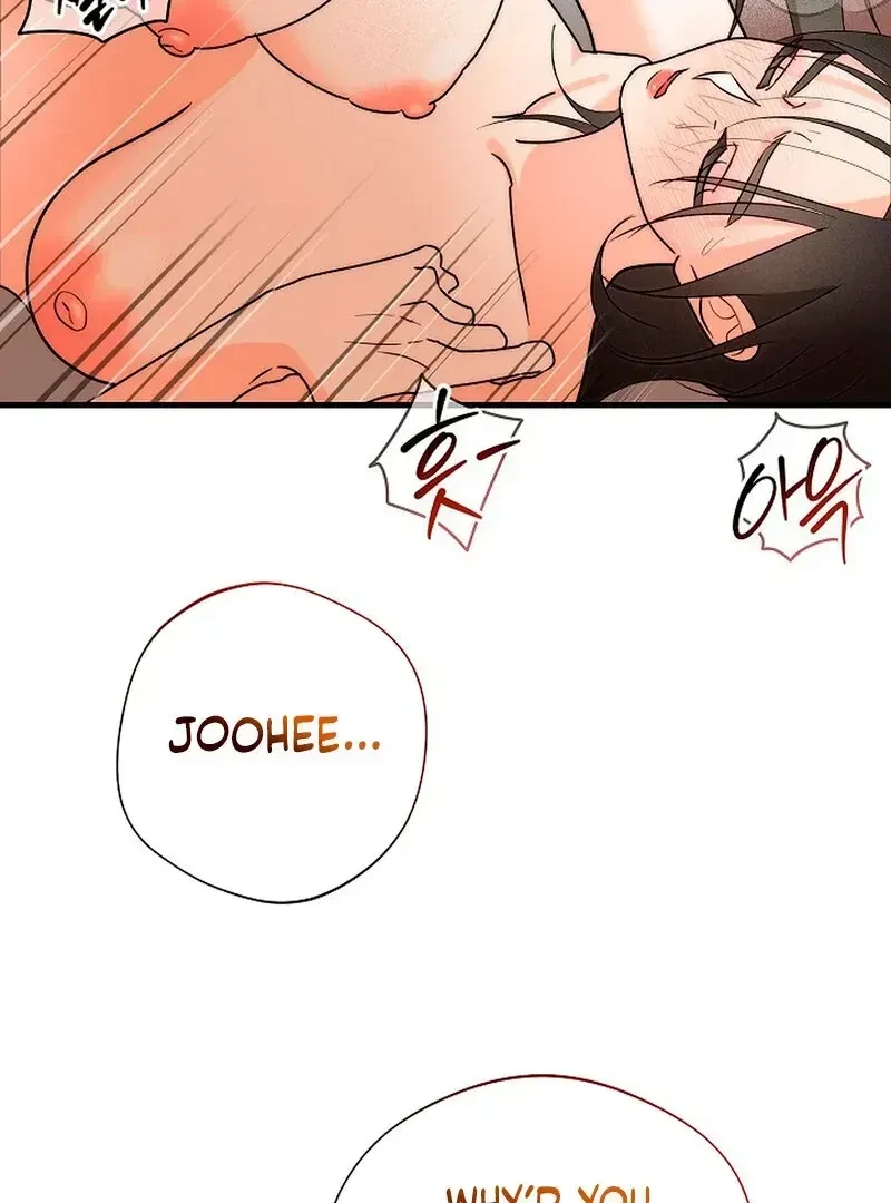 Chapter 2.1, page 96